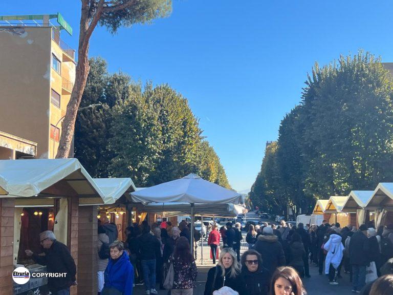roma chocolate