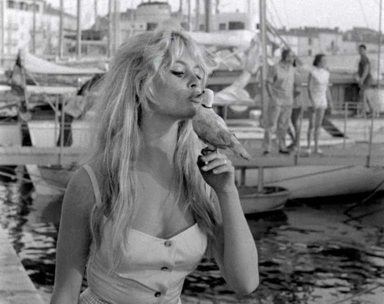 brigitte bardot