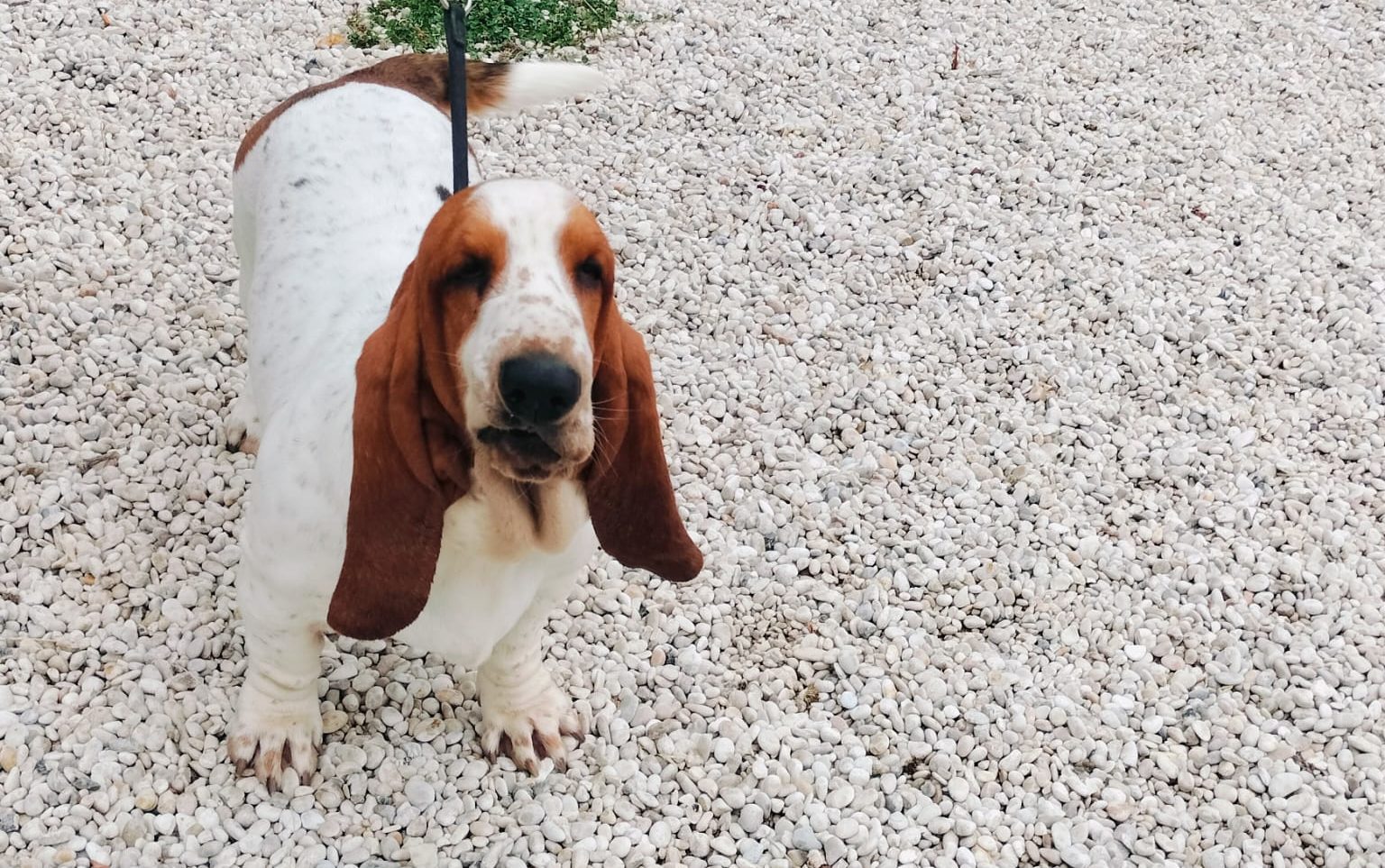d7922f2b-7afb-49da-8357-6ffab59c120e