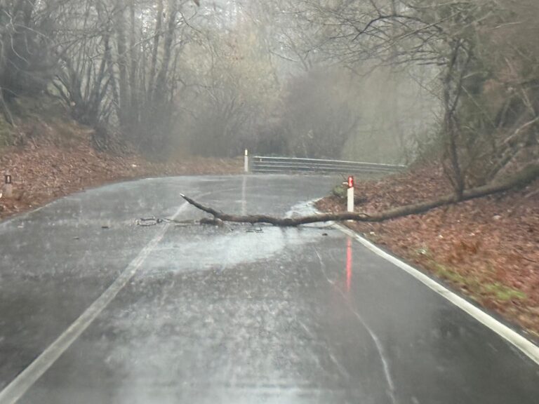 WhatsApp Image 2026-01-28 at 09.04.59