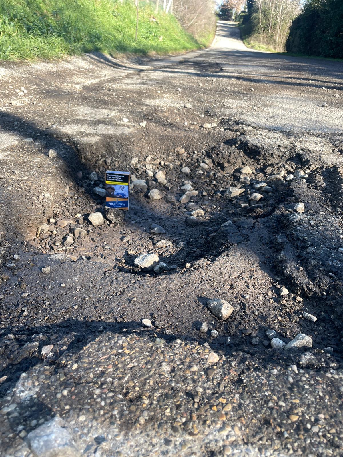 image2 (4)