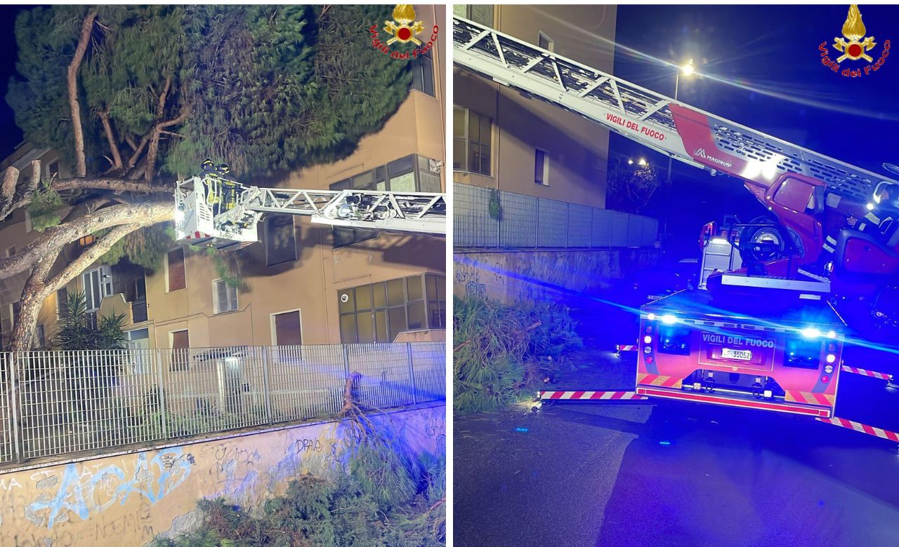 vigili del fuoco civitavecchia (2)