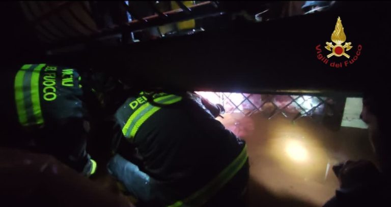 vigili fuoco roma