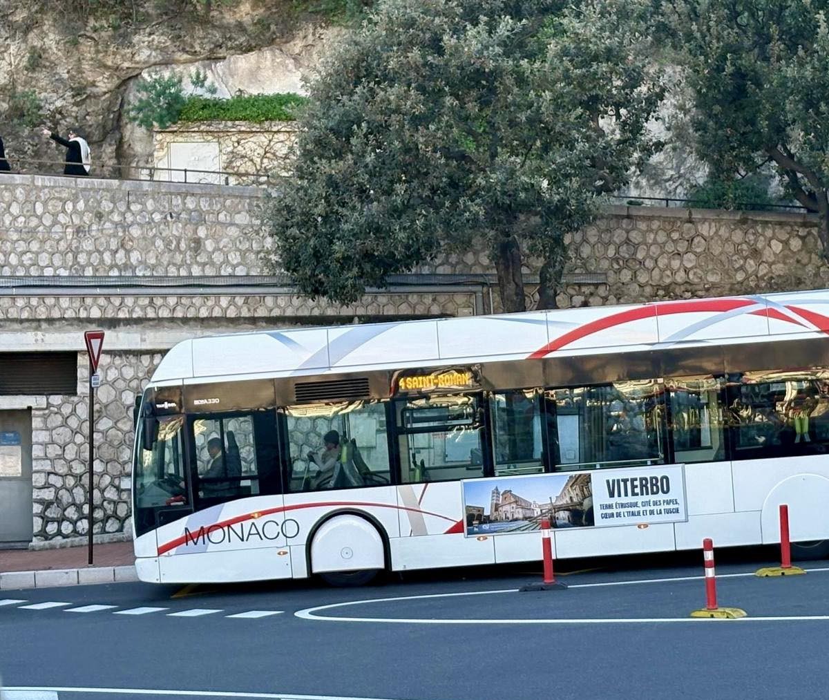 viterbo monaco