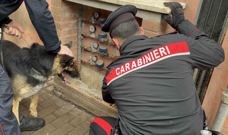 PROVINCIALE - Controlli antidroga dei Carabinieri (1)