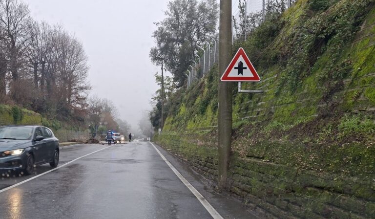 WhatsApp Image 2026-02-04 at 17.10.43