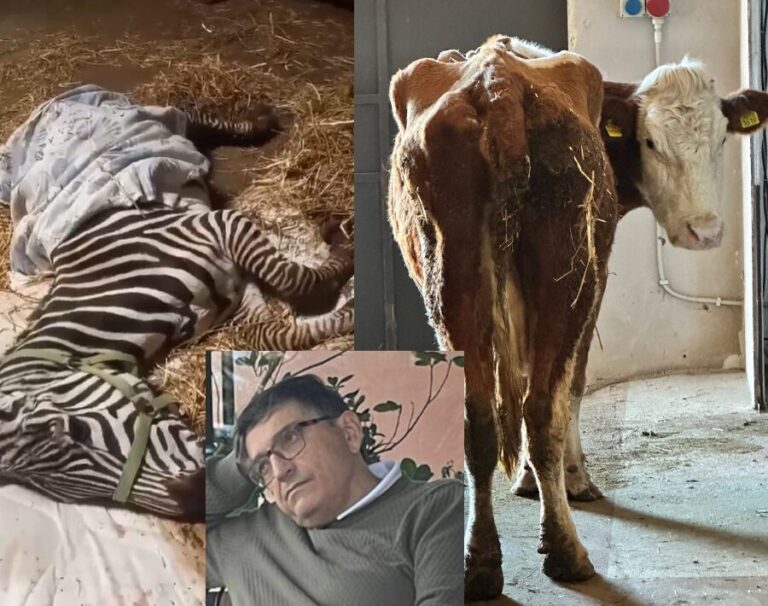 animali-casa-iannotta-ciro-esposito