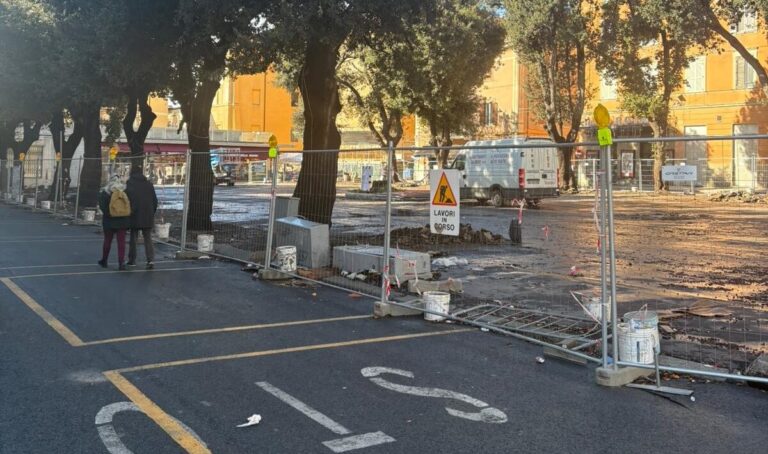 mercato piazza civitavecchia alberi