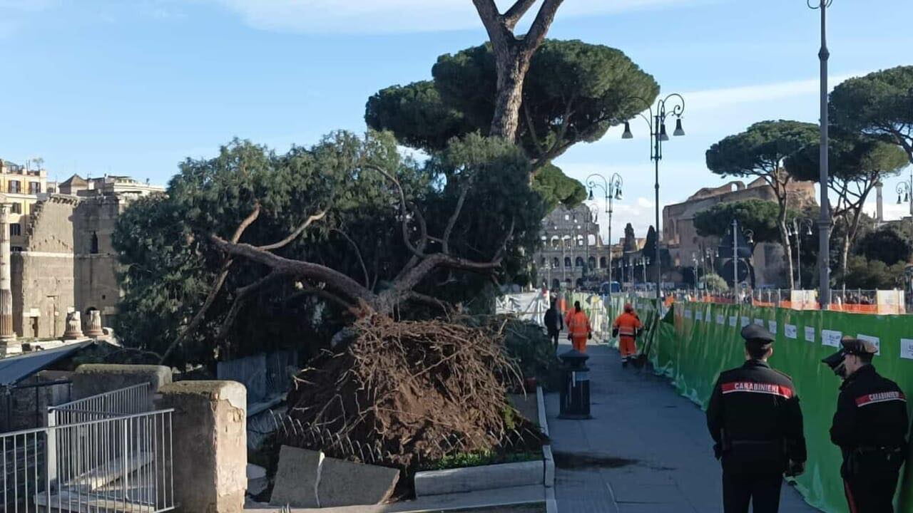 pino fori imperiali