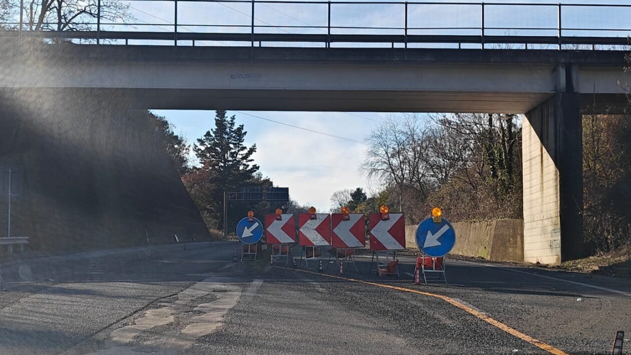 superstrada orte viterbo 8