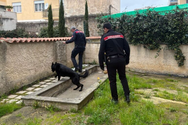 ANZIO - Le attività dei Carabinieri tra Anzio e Nettuno (4)
