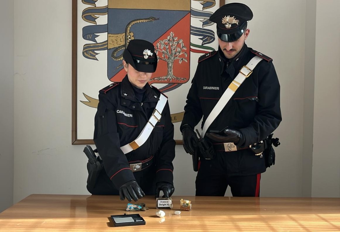 CIVITAVECCHIA - La droga sequestrata dai Carabinieri di Ladispoli (1)