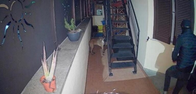 WhatsApp Image 2026-03-27 at 11.37.56