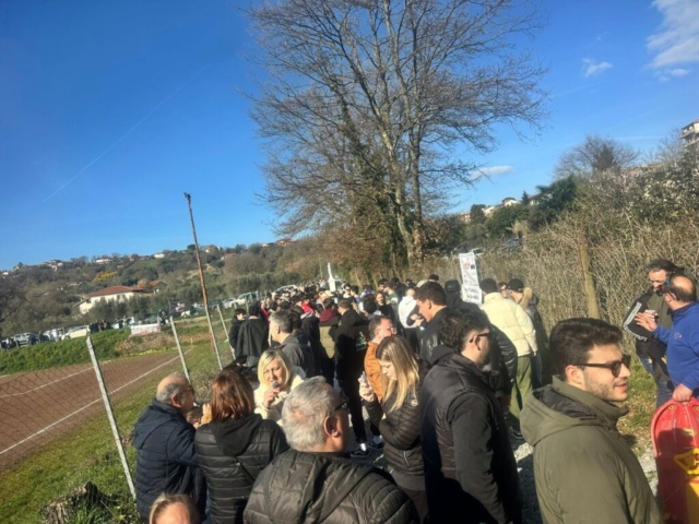 WhatsApp Image 2026-03-31 at 12.19.11 (3)