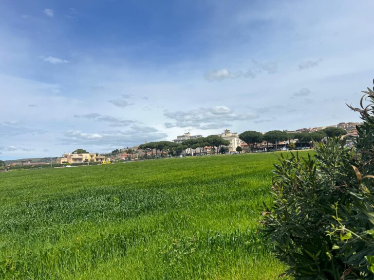 località giglio2