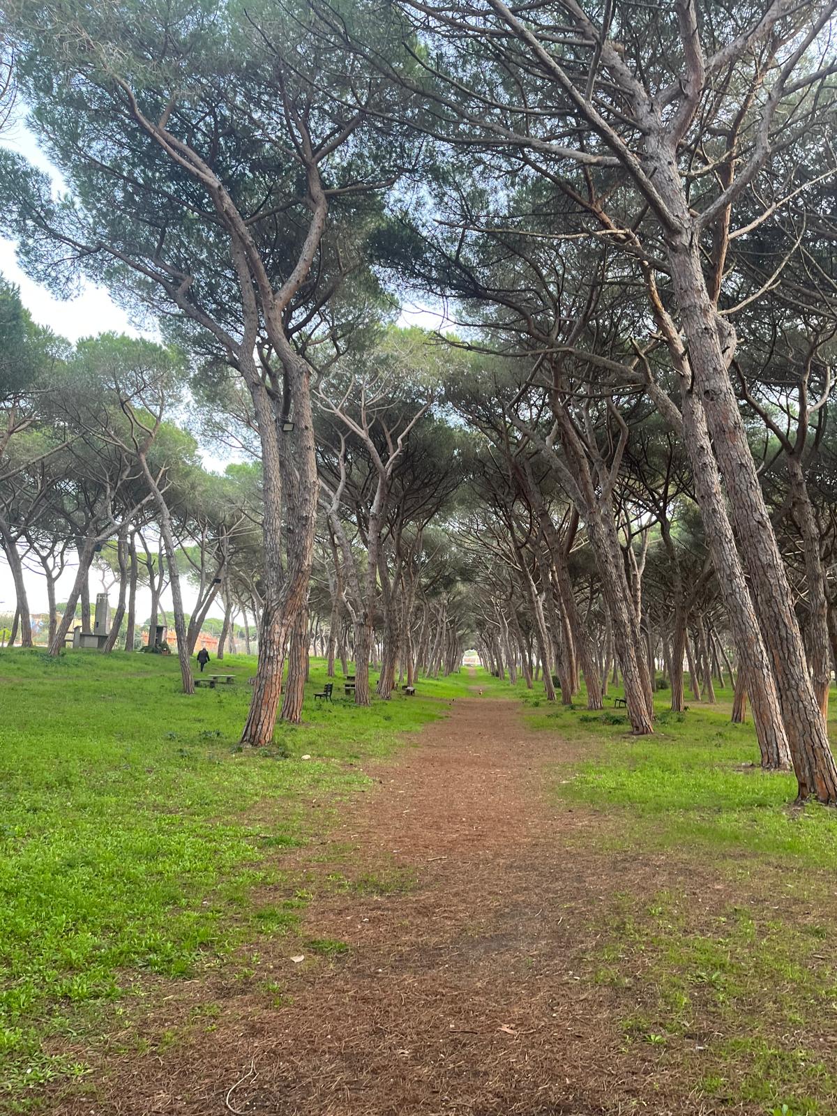 partenza_gara