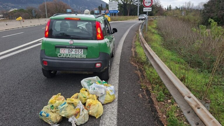 rifiuti svincolo terni ovest
