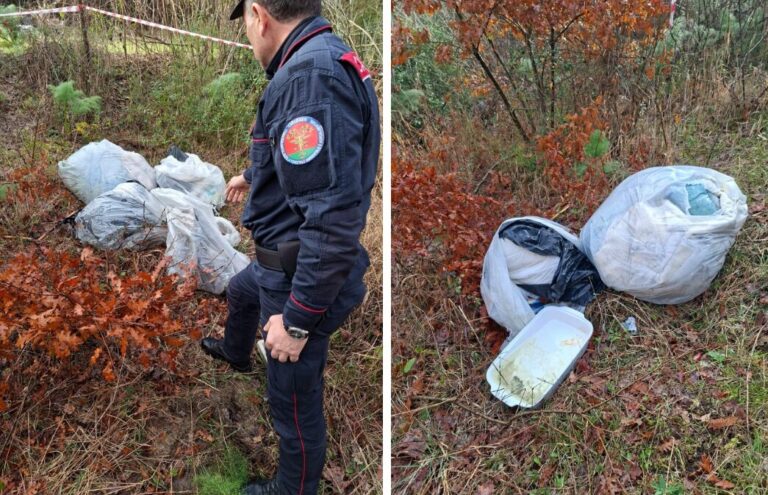 vetralla rifiuti abbandonati
