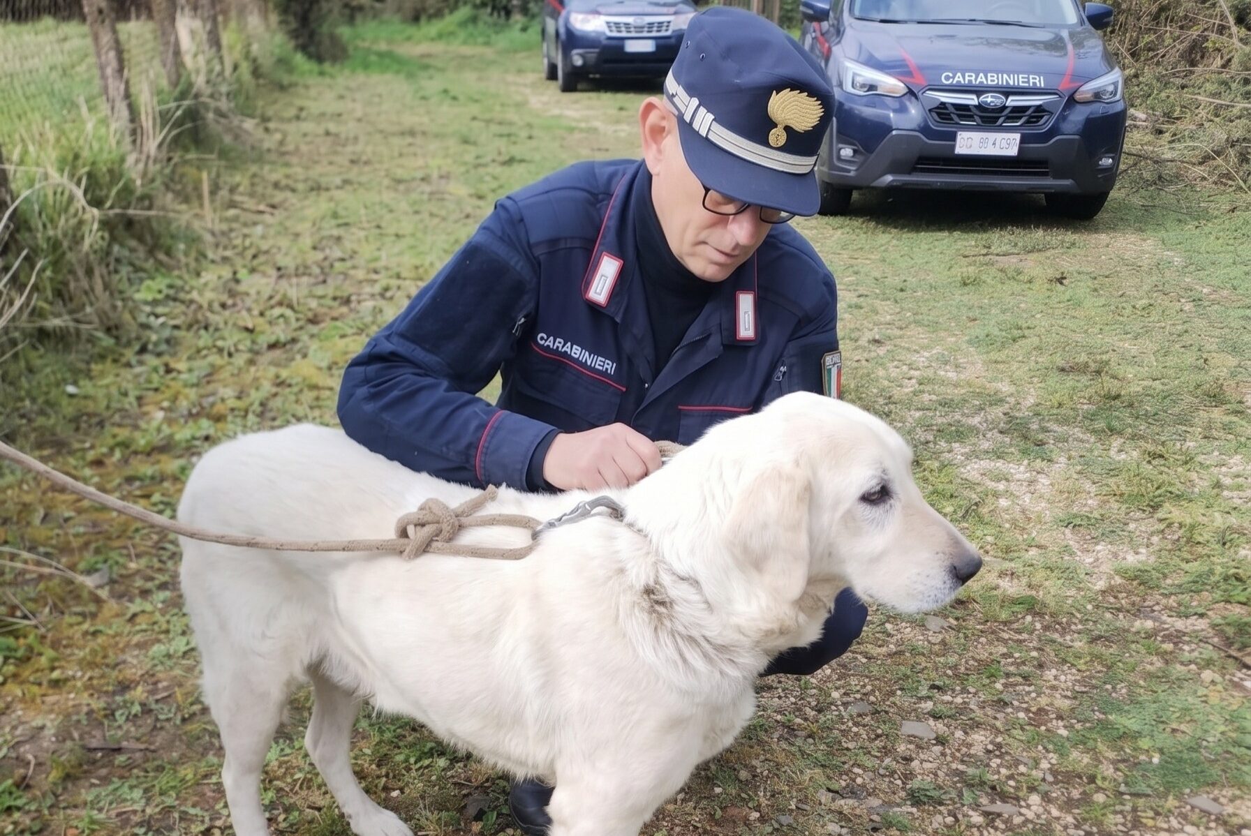 FORESTALE - Arresto per uccisione di animale