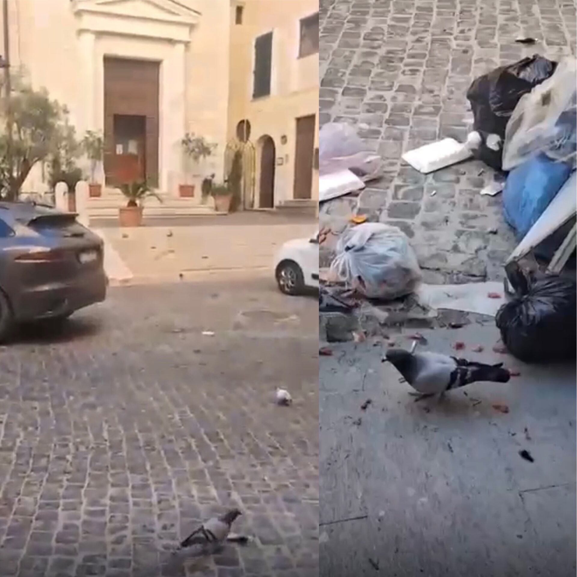 PiazzaLeandra_01