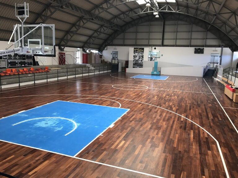 basket-palestra-della-verita-viterbo