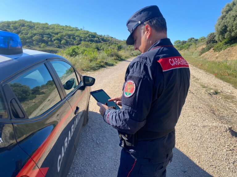 carabinieri forestali forestale