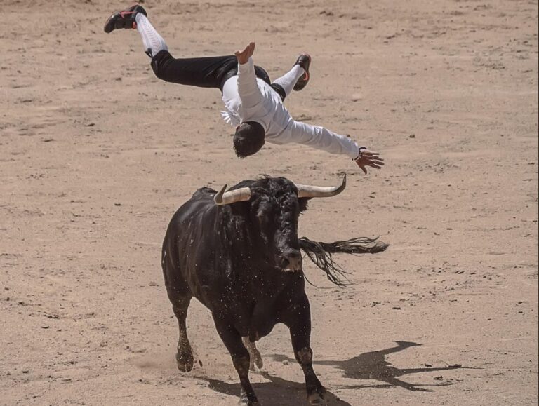 torero incornata toro corrida