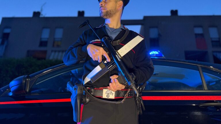PROVINCIALE - I Carabinieri impegnati nell'operazione (1)