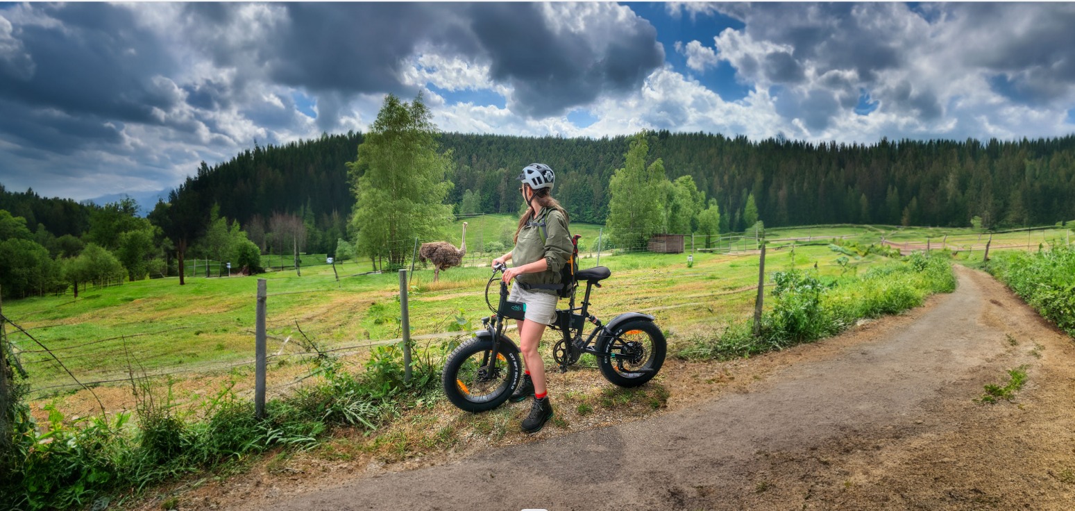 Engwe EP2 Pro vs EP2 Boost (2026): quale fat bike elettrica conviene davvero? 5 foto e bike