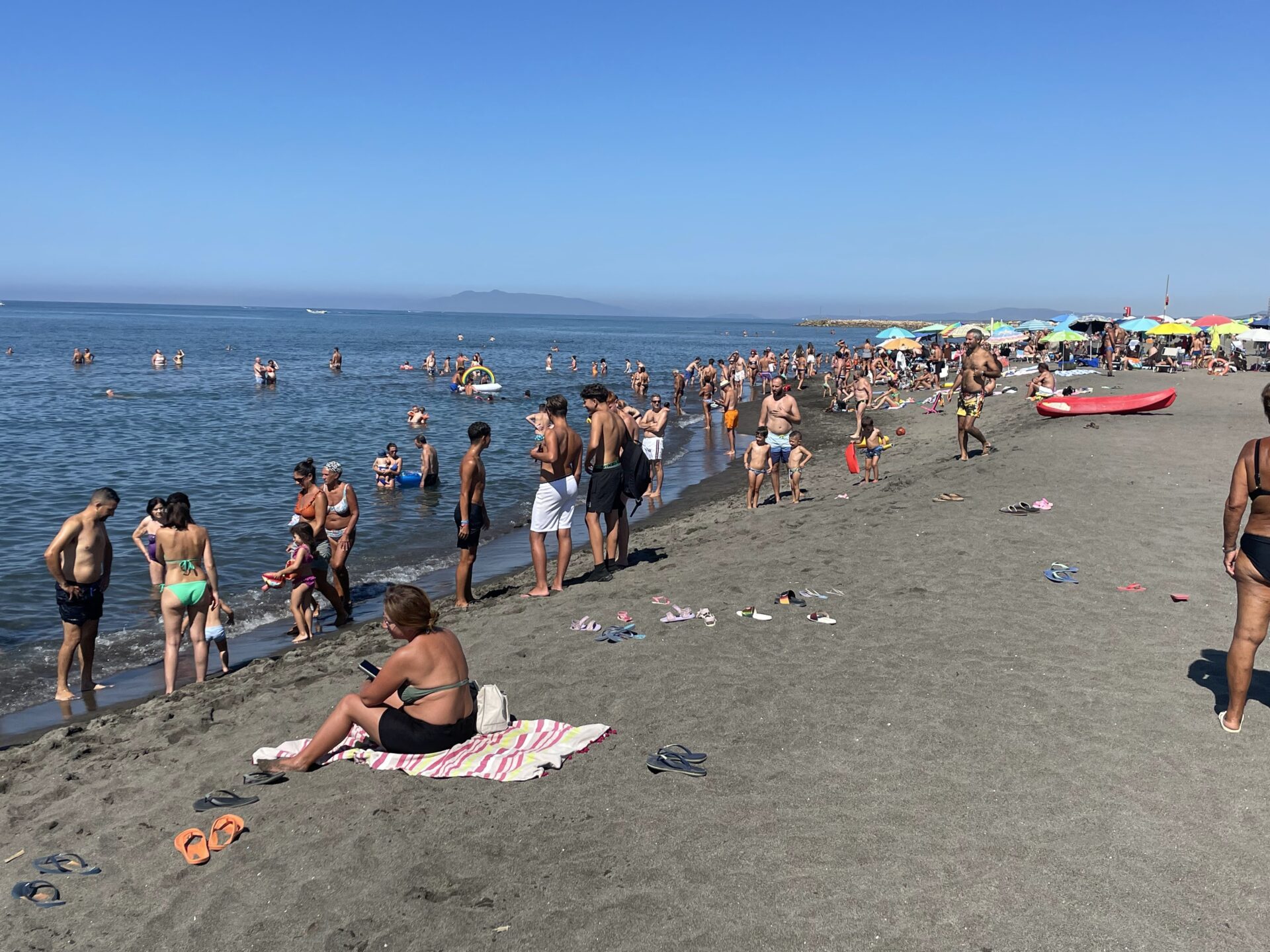 mare