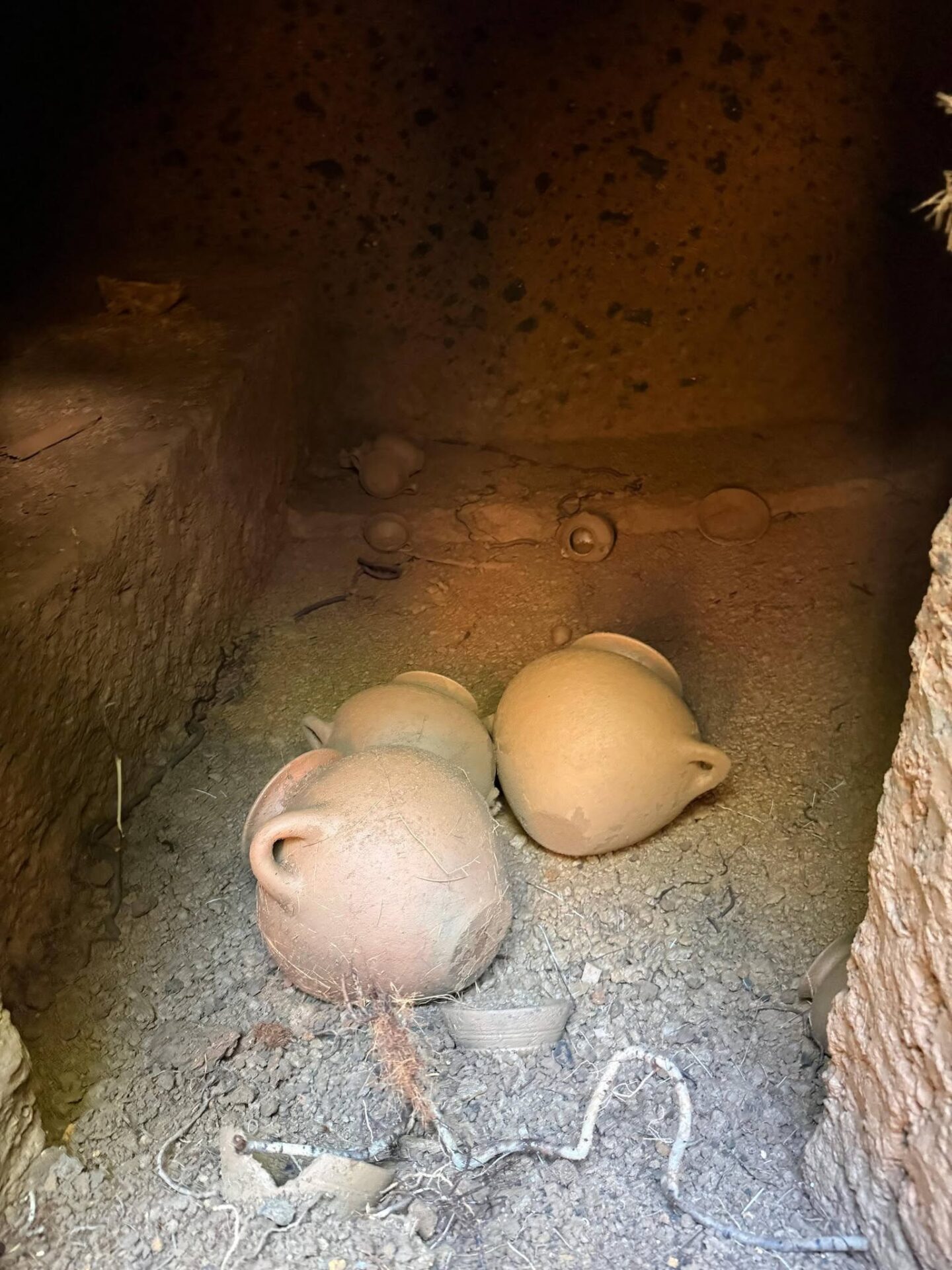Barbarano Romano - Scoperta una seconda tomba etrusca inviolata nella necropoli di San Giuliano (FOTO) 2 722029716 1623125639821949 295953265362526312 n scaled