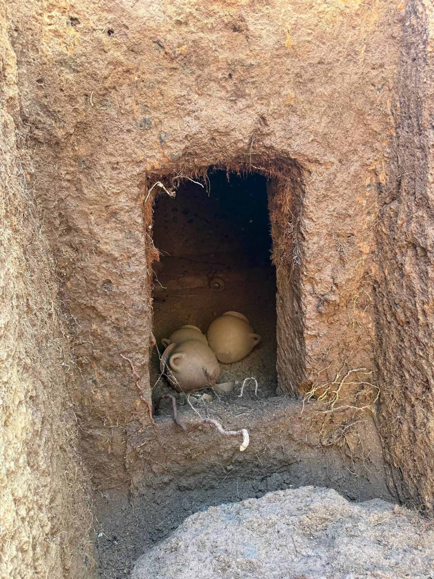 Barbarano Romano - Scoperta una seconda tomba etrusca inviolata nella necropoli di San Giuliano (FOTO) 3 724484438 1623125473155299 1180694516201094036 n