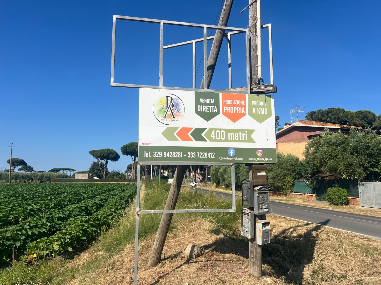Tarquinia Lido - Riapre il mitico Chiosco di Orietta: sapori genuini con frutta e verdura a km zero (FOTO) 4 WhatsApp Image 2026 06 19 at 09.55.52