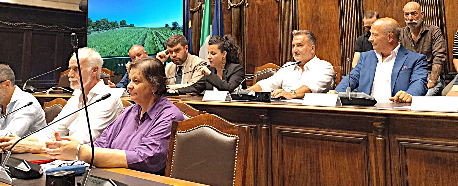calici 3