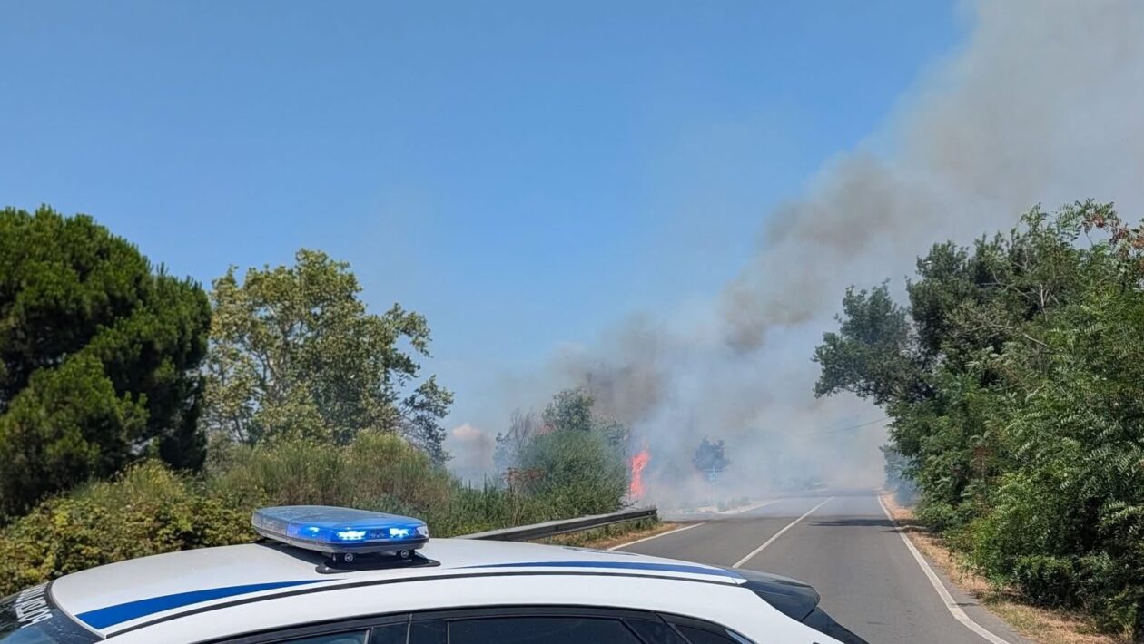 incendio montalto