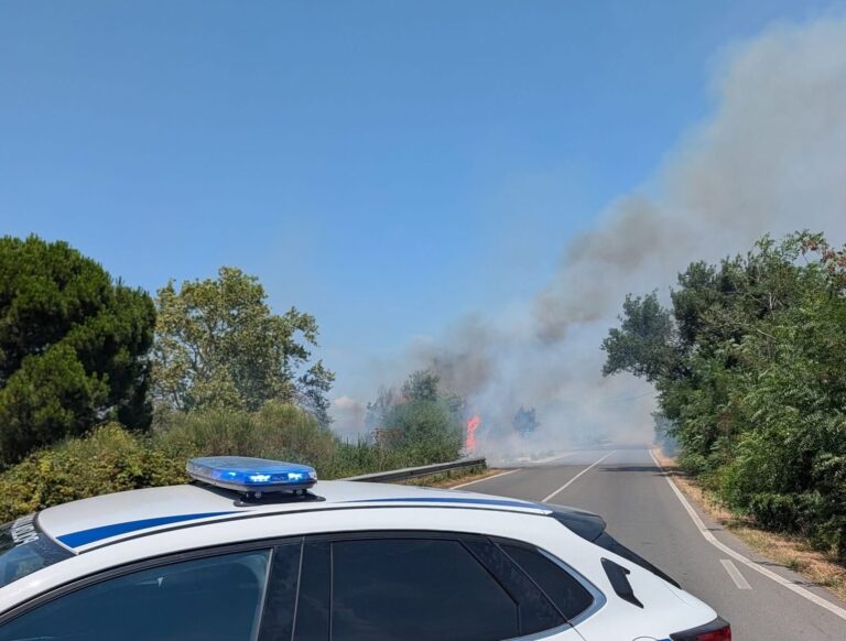 incendio montalto