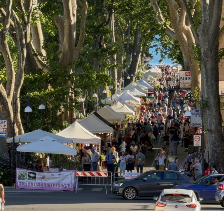 ort4