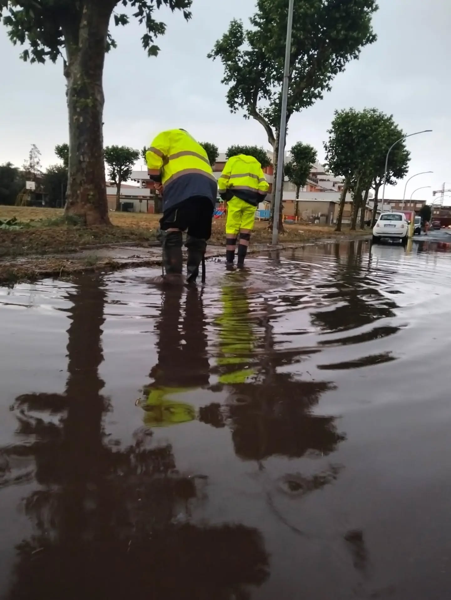 Maltempo nella Tuscia, notte di pioggia e vento: alberi caduti, strade chiuse e interventi in diversi comuni (FOTO) 4 731695505 18166712893436459 4035555113576701272 n.webp