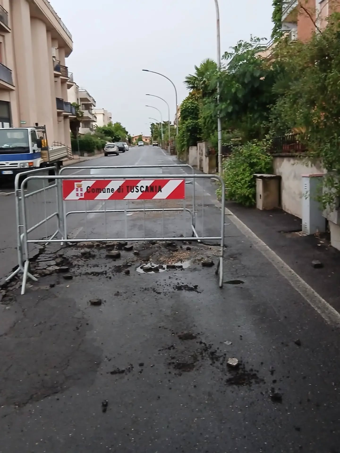 Maltempo nella Tuscia, notte di pioggia e vento: alberi caduti, strade chiuse e interventi in diversi comuni (FOTO) 5 733849769 18166712908436459 5441596622180665166 n.webp