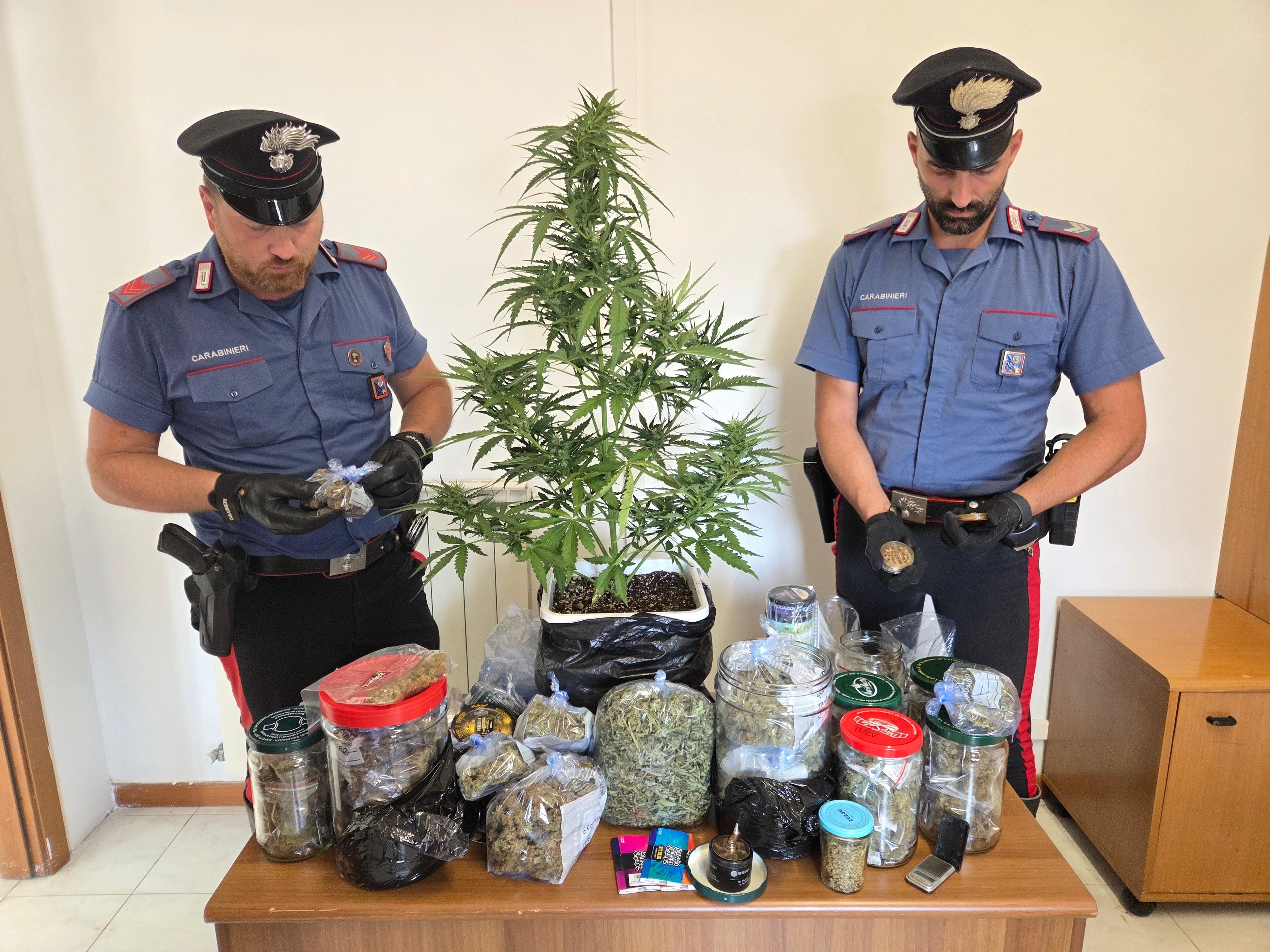 ANZIO - La droga sequestrata dai Carabinieri