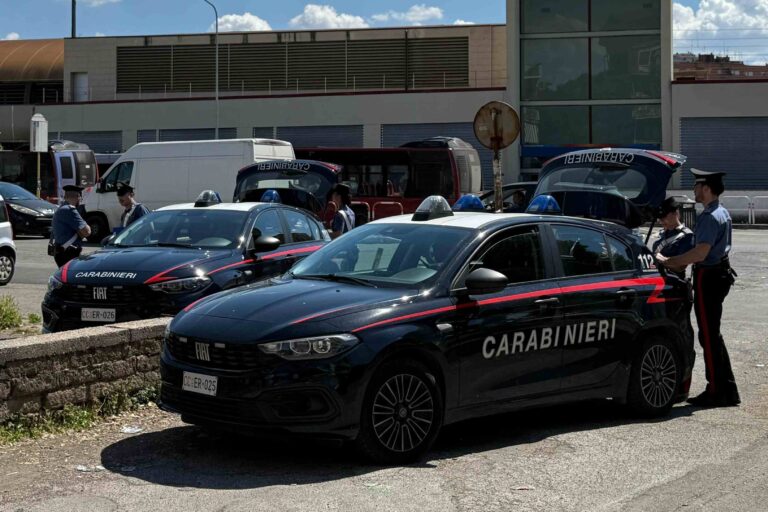 CASSIA - I controlli dei Carabinieri (2)