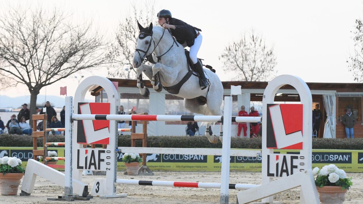 IMG Campionato Salto Ostacoli 2025 Gualtiero Nepi su Breezer degli Assi.jpeg
