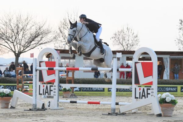 IMG Campionato Salto Ostacoli 2025 Gualtiero Nepi su Breezer degli Assi.jpeg