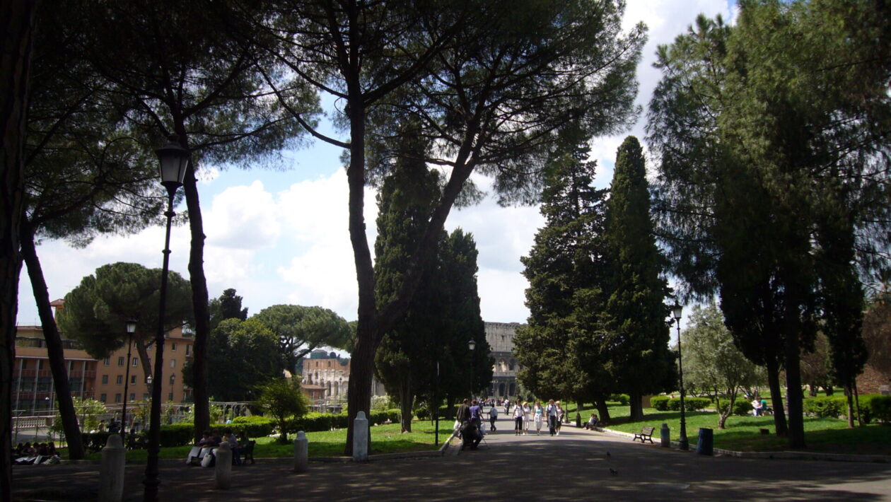 Monti Colle Oppio 1060869