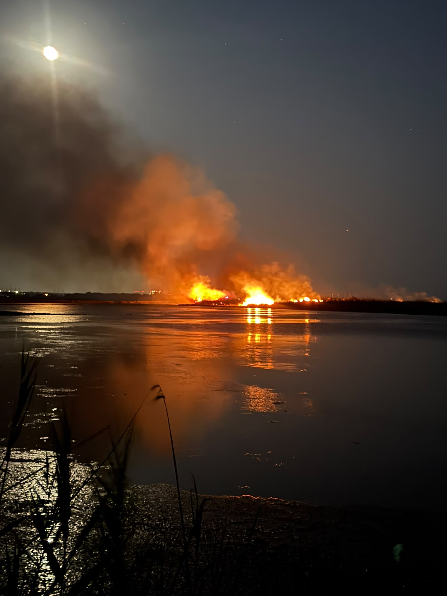 Tarquinia Lido - Vasto incendio alle Saline, fiamme visibili a 10 chilometri di distanza (FOTO E VIDEO) 2 WhatsApp Image 2026 07 27 at 21.49.59