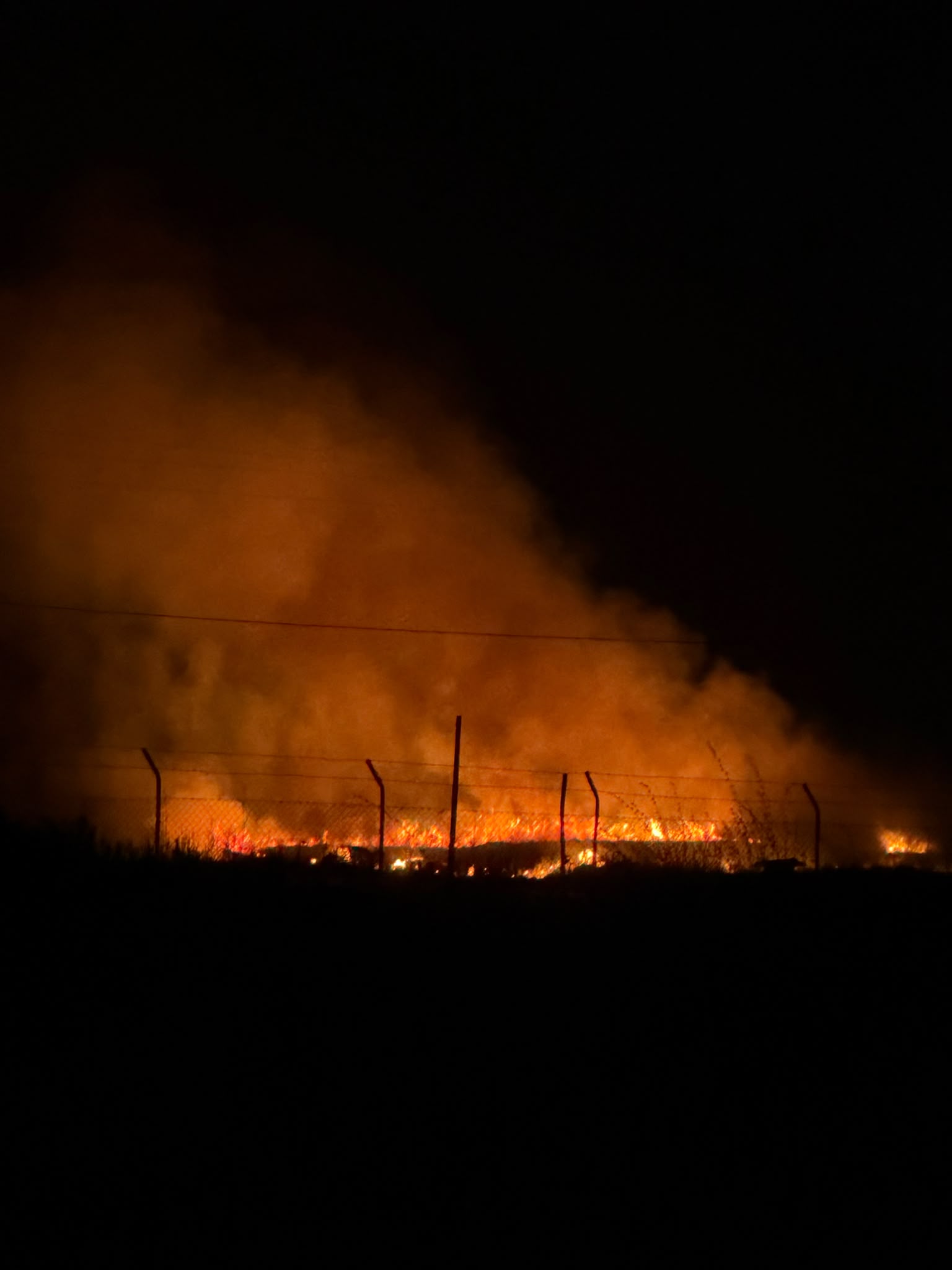Tarquinia Lido - Vasto incendio alle Saline, fiamme visibili a 10 chilometri di distanza (FOTO E VIDEO) 3 WhatsApp Image 2026 07 27 at 21.50.00 2