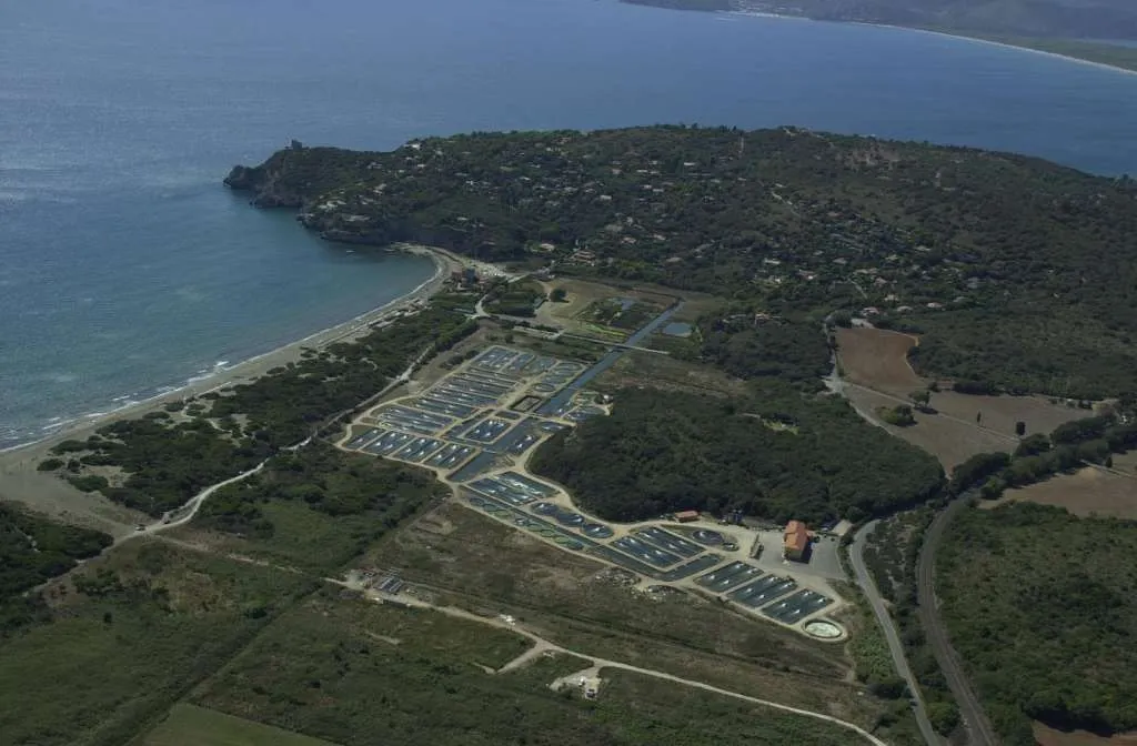 acquacoltura di orbetello