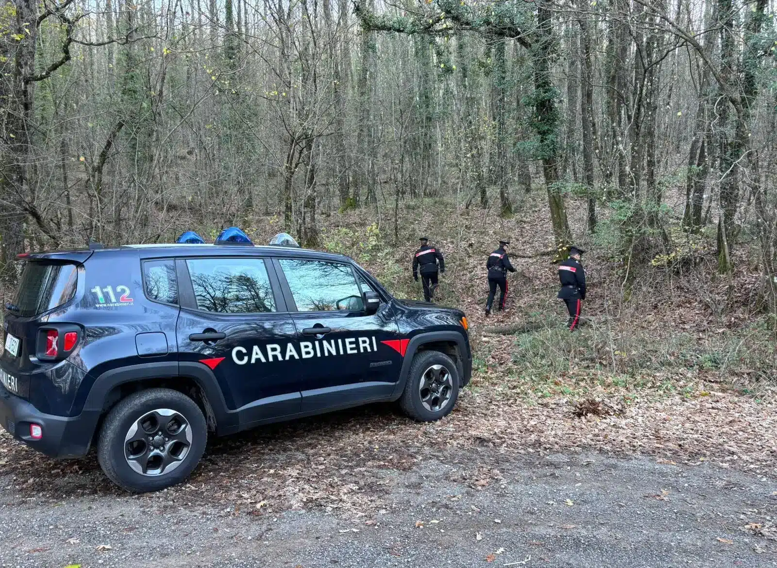 carabinieri nei boschi