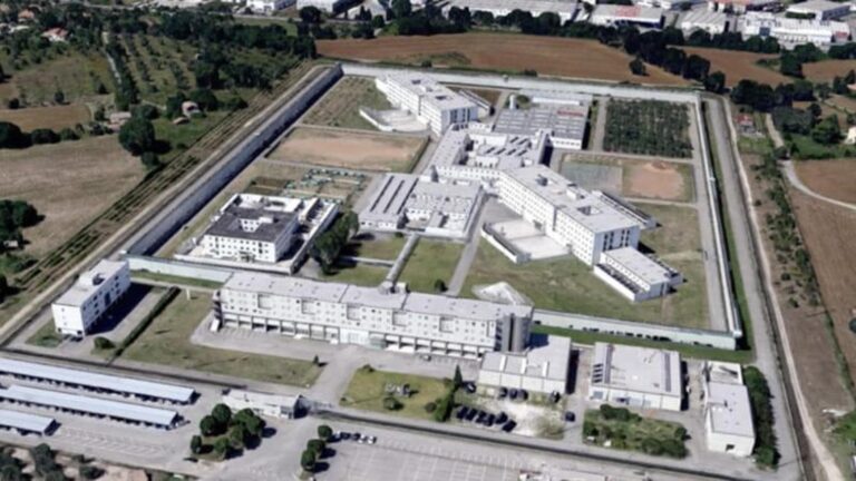 mammagialla viterbo licandro