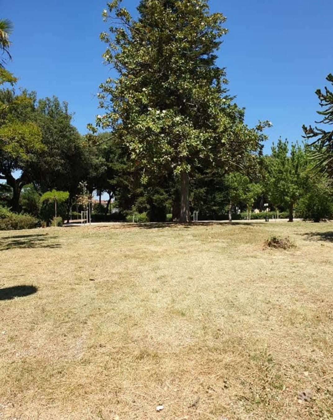 pratogiardino